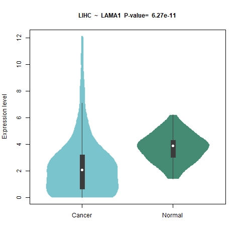 LAMA1 _LIHC.png